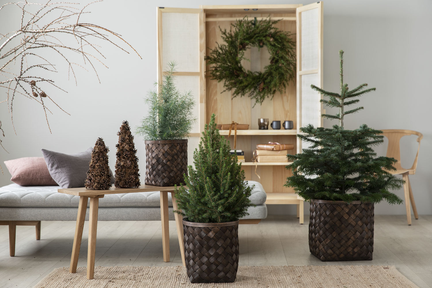 Juletre i potte Juletre i potte